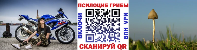 Псилоцибиновые грибы Cubensis Электрогорск